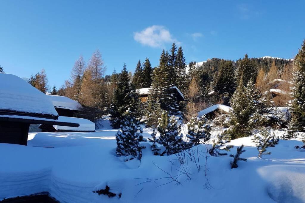 Chalet Wulli In Der Naehe Der Skianlagen ซาโวญิน ภายนอก รูปภาพ