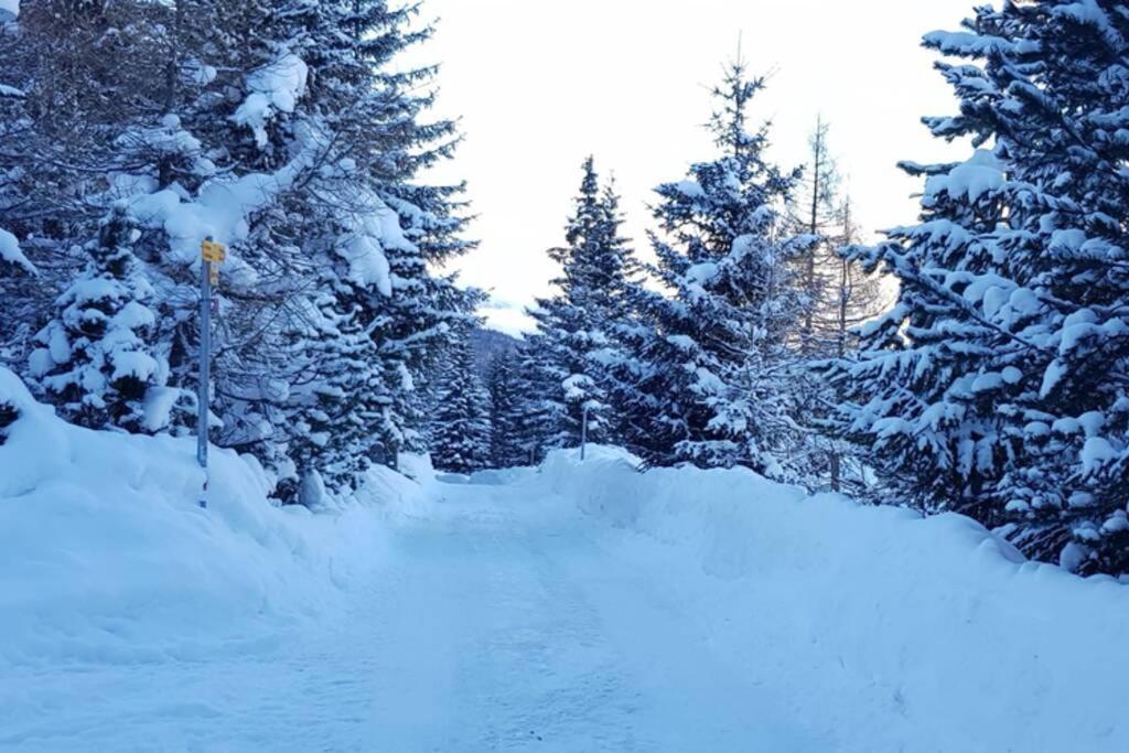 Chalet Wulli In Der Naehe Der Skianlagen ซาโวญิน ภายนอก รูปภาพ