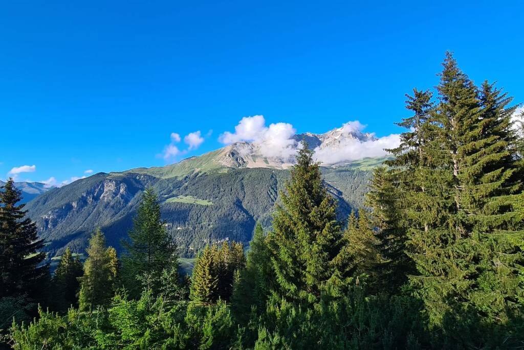 Chalet Wulli In Der Naehe Der Skianlagen ซาโวญิน ภายนอก รูปภาพ