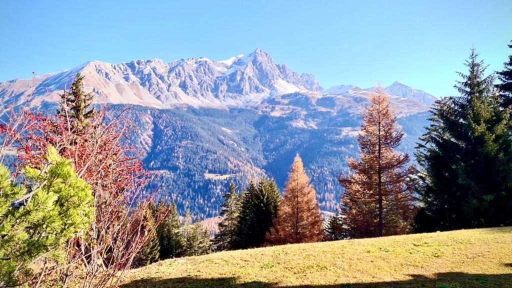 Chalet Wulli In Der Naehe Der Skianlagen ซาโวญิน ภายนอก รูปภาพ