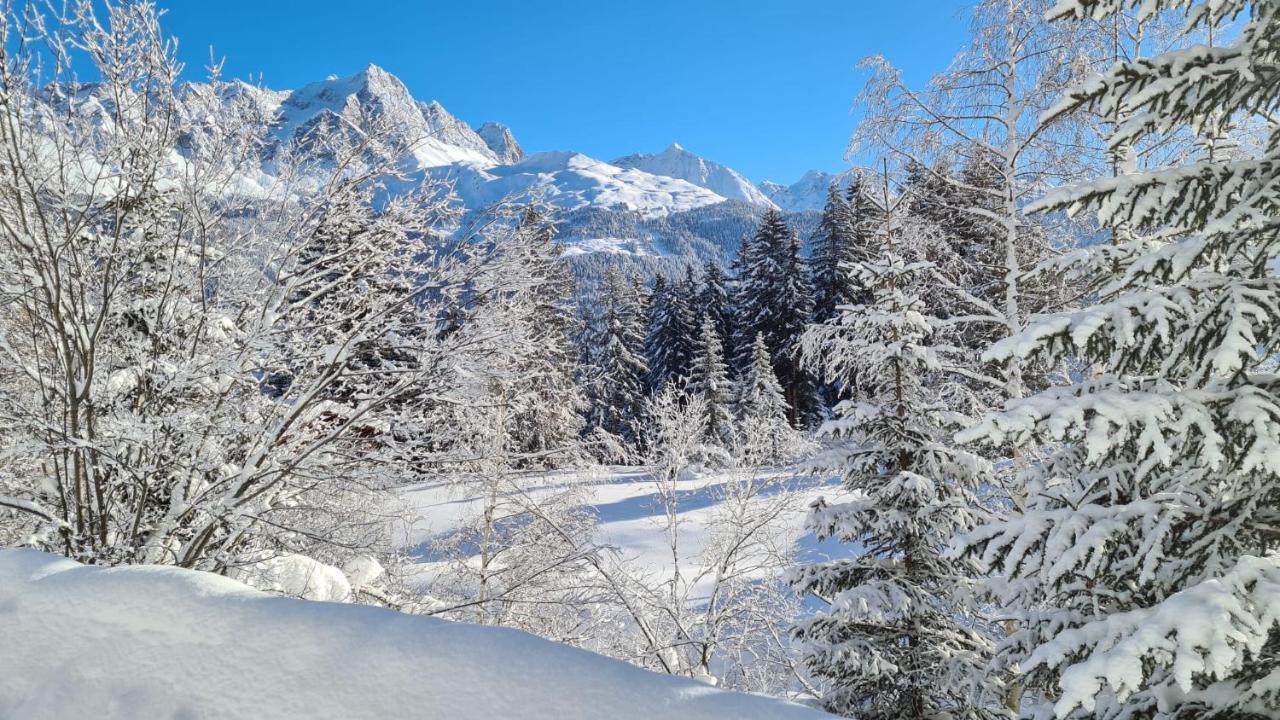 Chalet Wulli In Der Naehe Der Skianlagen ซาโวญิน ภายนอก รูปภาพ