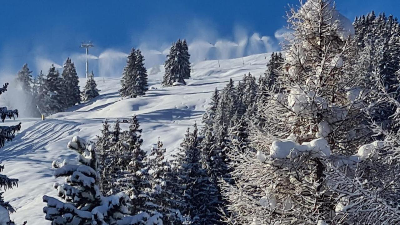 Chalet Wulli In Der Naehe Der Skianlagen ซาโวญิน ภายนอก รูปภาพ